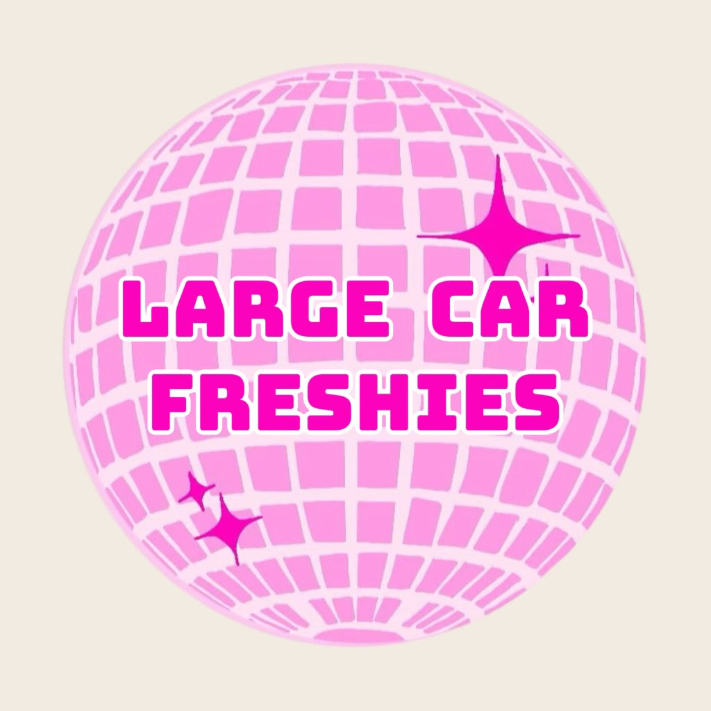 Large Car Freshies